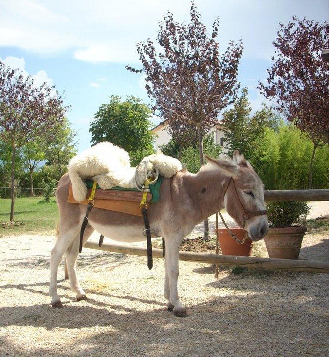 Villa Locanda Dell'Asino D'Oro Sulmona Exterior foto
